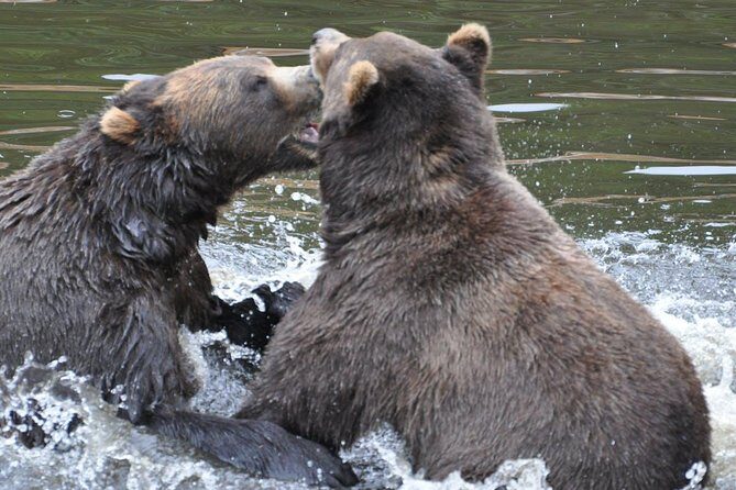 Sitka Sightseeing Tour including Fortress of the Bear and Totem Poles - FAQs About Sitka’s Sightseeing Tour