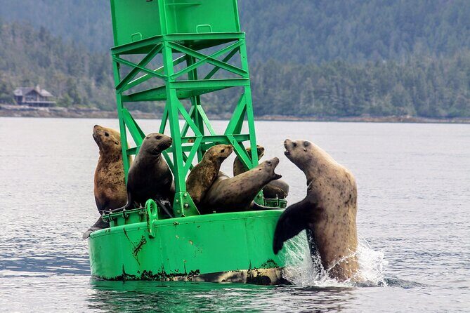Sitka Sound Marine Wildlife Tour - FAQs