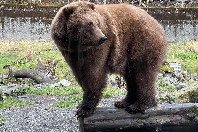 Sitka's Favorite Sites Private Land Tour for 6 (Meal option avail - Frequently Asked Questions