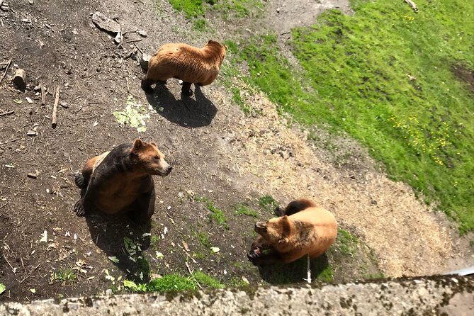 Sitka's only Private Simply Amazing Tour - Why choose this Sitka tour?