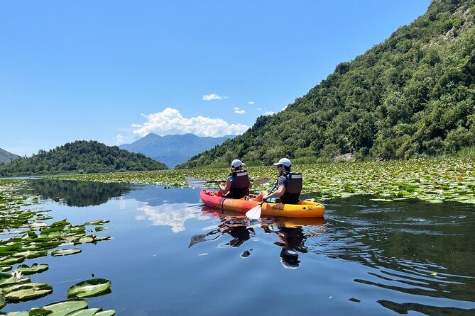 Skadar Lake: 4-Hour Guided tours on Kayak - Final Thoughts