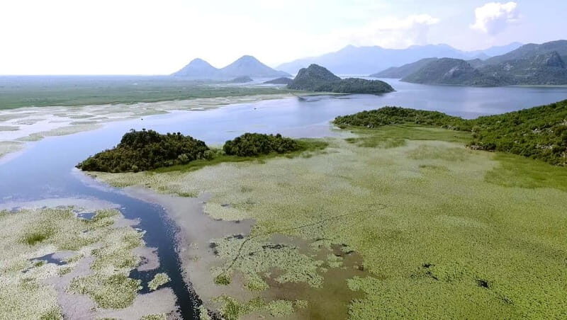 SKADAR LAKE: A national park with amazing flora and fauna! - What to Expect on the Tour