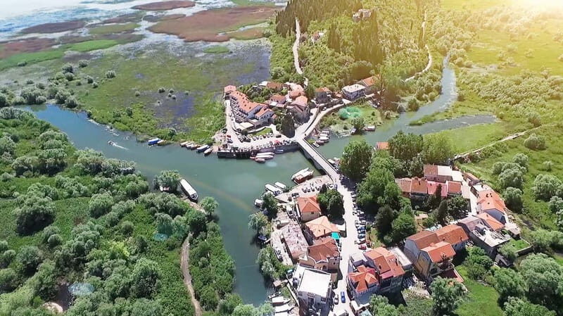 SKADAR LAKE: A national park with amazing flora and fauna! - Wildlife and Birdwatching Opportunities