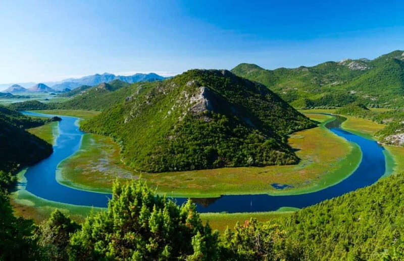 Skadar Lake Boat Tour with Transfer from Podgorica - What to Expect from the Skadar Lake Boat Tour