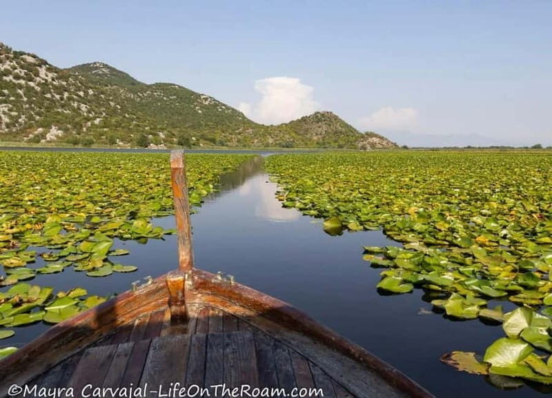 Skadar Lake Boat Tour with Transfer from Podgorica - Practical Tips for Your Trip