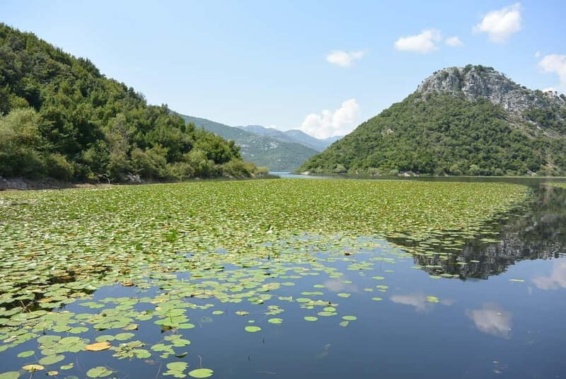 Skadar Lake day trip from Herceg Novi - Final Thoughts