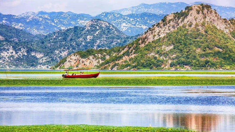 Skadar Lake full-day tour from Kotor - What to Expect on the Skadar Lake Full-Day Tour