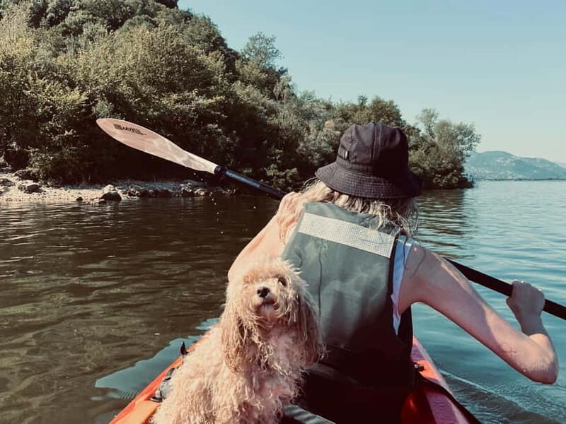 Skadar Lake: Kayak & Paddle board Rental - Frequently Asked Questions