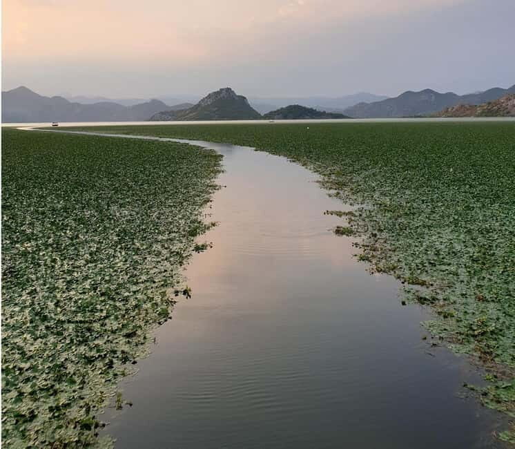 Skadar Lake kayak rent: A Journey Through Tranquility - The Sum Up