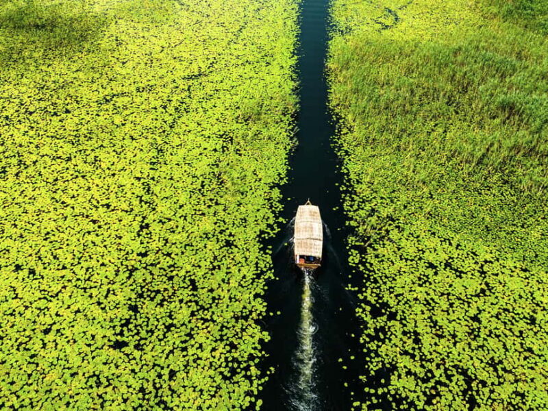 Skadar Lake National Park: Guided Boat Tour with Wooden Boat - An In-depth Look at the Lake Skadar Boat Tour