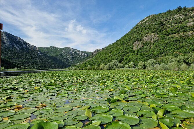 Skadar Lake tour - experience the Montenegrin nature - Final Thoughts