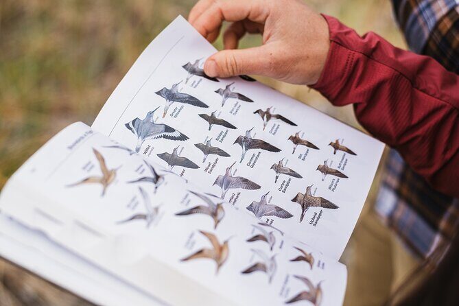 Skagit Valley Birding + Deception Pass Day Tour From Seattle - Key Points