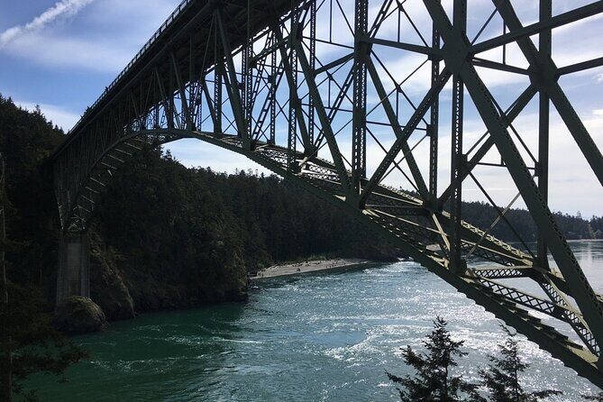 Skagit Valley Birding + Deception Pass Day Tour From Seattle - Who Is This Tour Best Suited For?