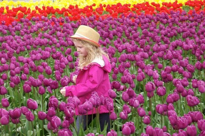 Skagit Valley Tulip Festival Day Tour from Seattle - Deep Dive into the Itinerary