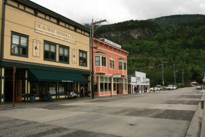Skagway City Tour and White Pass Summit Adventure - The Bottom Line