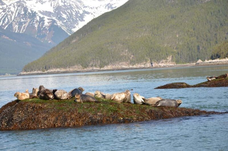 Skagway: Ocean Raft Adventure Along Scenic Coastline - FAQ