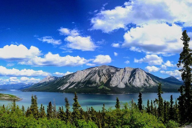 Skagway Shore Excursion: Full-Day Tour of the Yukon - The Experience in Detail