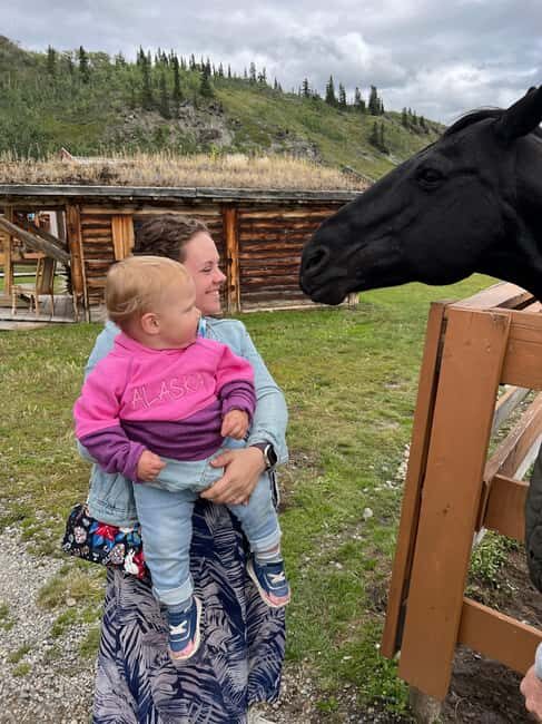 Skagway: Yukon Discovery Tour - The Itinerary Breakdown: What to Expect