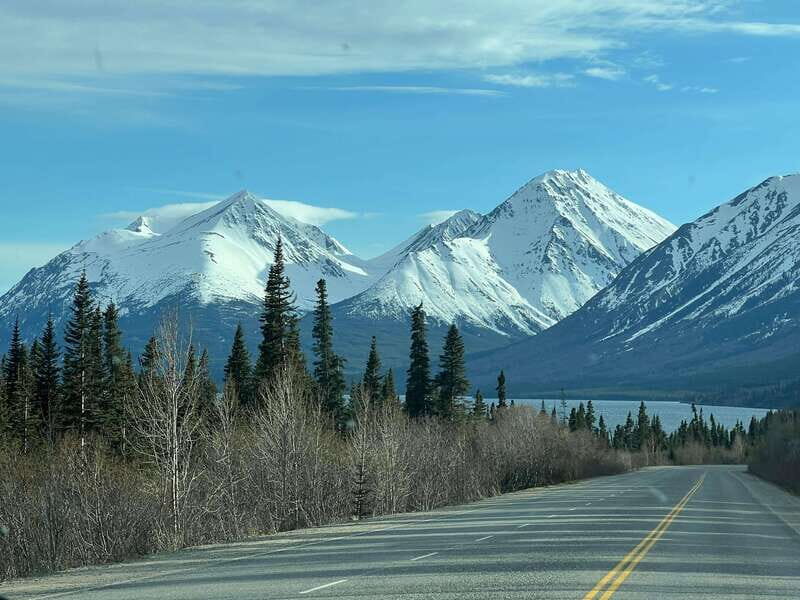 Skagway: Yukon Dog Mushing & Sightseeing Tour - Practical Tips for Your Trip