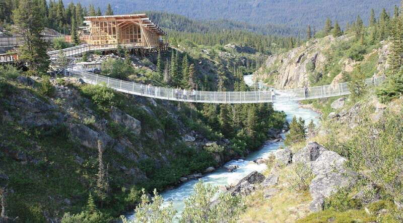 Skagway: Yukon Suspension Bridge & Summit Tour - Key Points