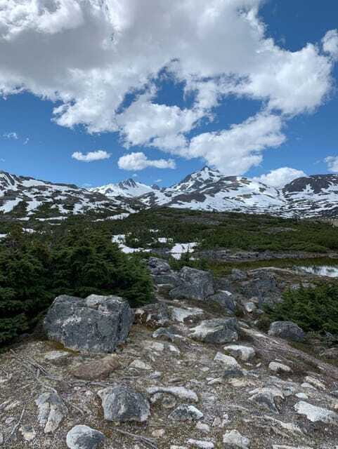 Skagway: Yukon Suspension Bridge & Summit Tour - Downsides and Considerations