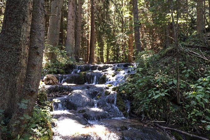 Skakavac Waterfall Hike - From Sarajevo - What Makes the Tour Stand Out?