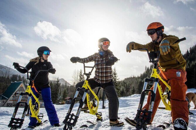 Ski Bike Rental in South Lake Tahoe - The Rental Experience & What You Get