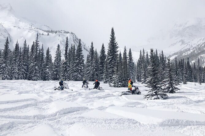 Ski-doo Snow Safari in Borovets - The Experience in Detail