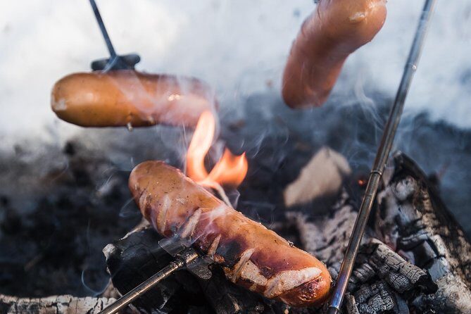 Ski Trekking Safari in Lapland - What to Expect from Your Lapland Ski Trekking Adventure