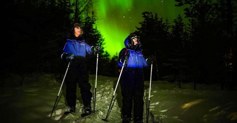 Ski Trekking under the Northern Lights - What to Expect from the Tour