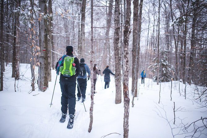 Skiing (Hok Ski) Excursion in Jacques-Cartier National Park - What Is the Ski-Shoeing Tour in Jacques-Cartier National Park?