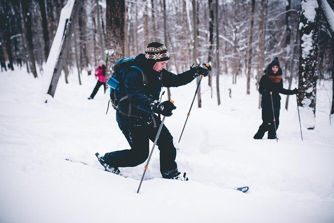 Skiing (Hok Ski) Excursion in Jacques-Cartier National Park - The Value of This Experience