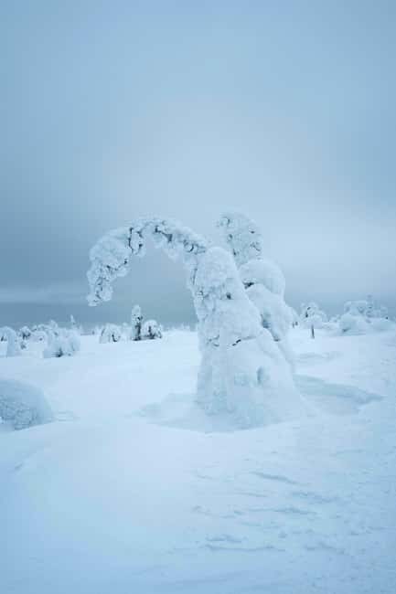 Skiing in Riisitunturi NP at Night & Wilderness Dinner - Key Points