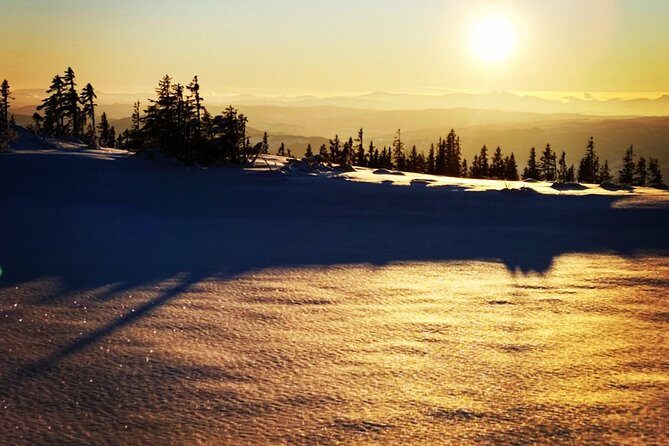 Skiing in winter wonderland - What’s It Really Like to Ski in Trondheim’s Winter Forest?