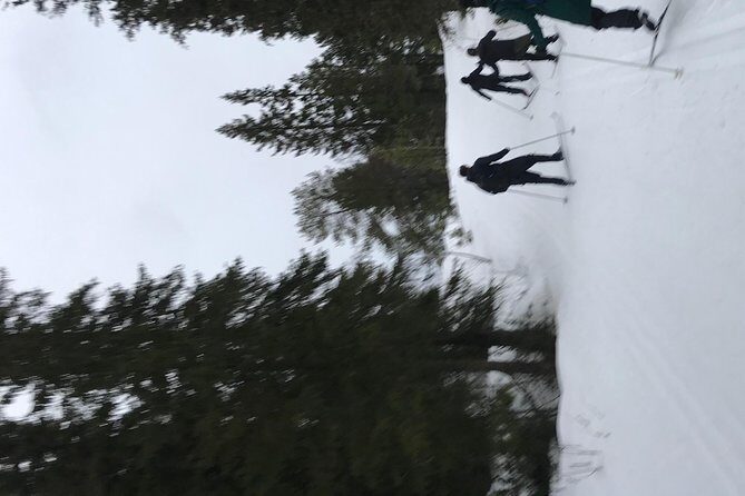 Skiing in winter wonderland - The Sum Up