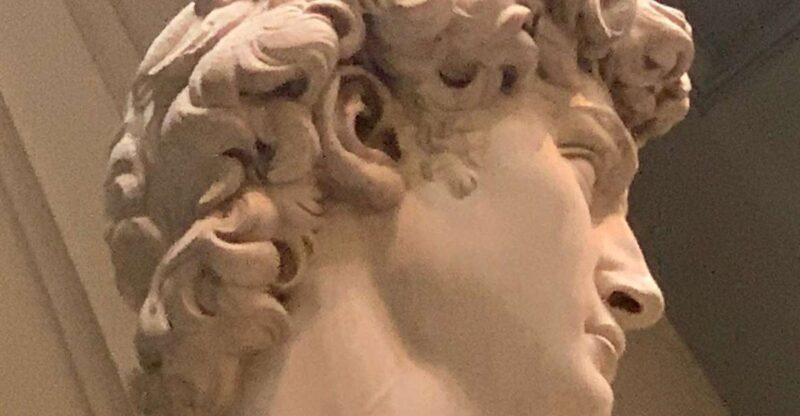 Skip-the-Line Accademia Tour  See Michelangelos David! - The Practical Breakdown