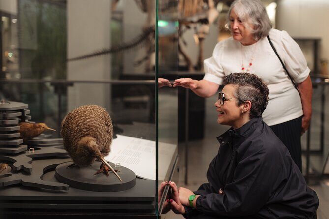 Skip the Line: Auckland Museum General Admission Ticket - What to Expect from Your Visit
