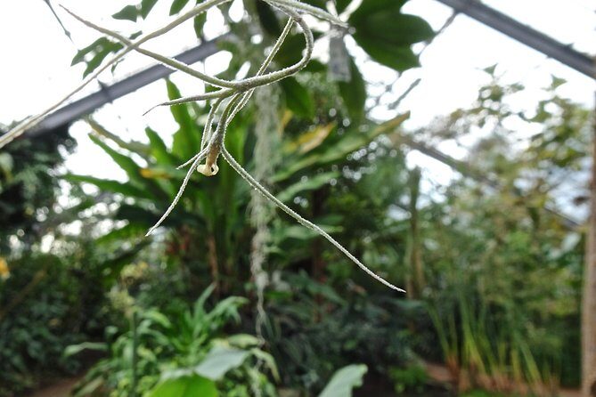 Skip-the-Line: Botanic Garden Entry Ticket - Who Should Consider Visiting?