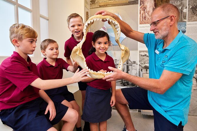Skip the Line: Cairns Museum Single Admission Ticket - Authentic Reviews and Feedback