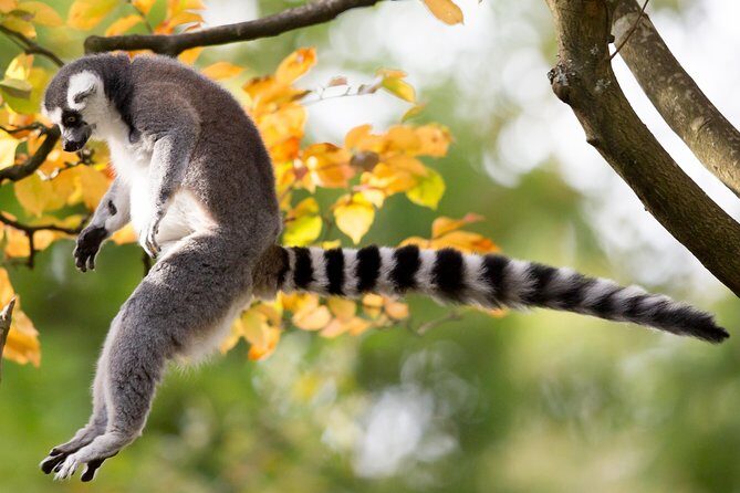 Skip the Line: Daily Admission at Woodland Park Zoo Ticket - FAQ