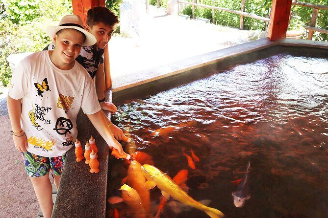 Skip the Line: Falconeria Locarno Ticket - Key Points