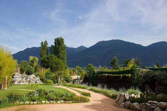 Skip the Line: Falconeria Locarno Ticket - FAQ