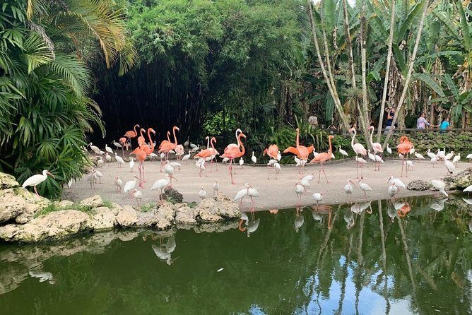 Skip the Line: Flamingo Gardens Admission Ticket in Fort Lauderdale - A closer look at Flamingo Gardens: What to Expect