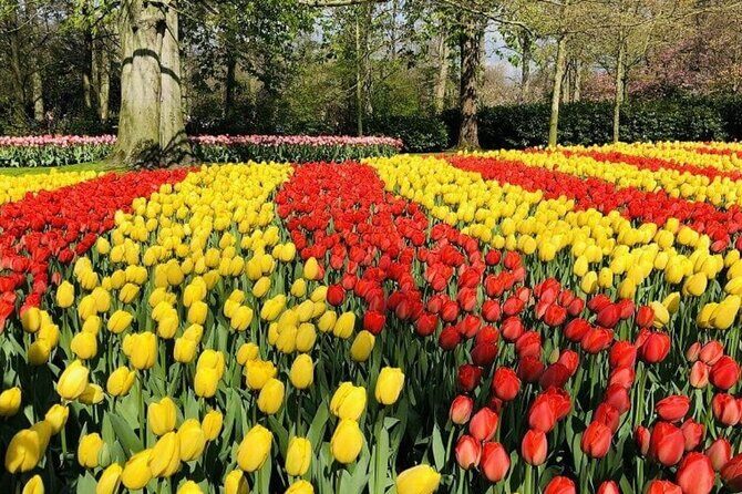 Skip-the-Line Keukenhof Gardens and Tulip Fields Tour from Amsterdam - Value for the Money
