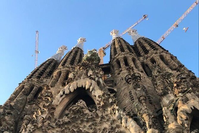 Skip The Line : La Sagrada Familia Guided Tour - The Itinerary: What to Expect