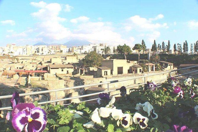 Skip-the-line Shore Excursion from Naples Cruise Port to Pompeii & Herculaneum - Who Is This Tour Best For?