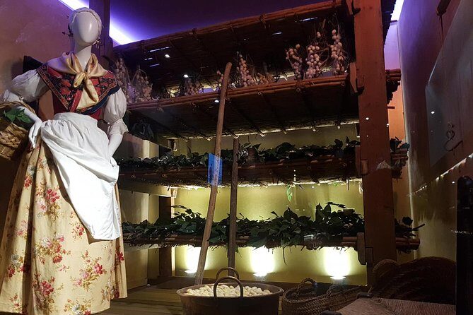 Skip the Line: Valencia Silk Museum Ticket Entrance - An Honest Look at What You’ll Experience