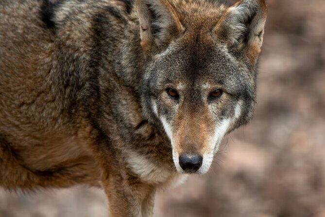 Skip the Line: Virginia Living Museum Admission Ticket - FAQs