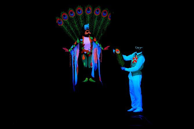 Skip the Line: WOW Show Black Light Theater in Prague Ticket - FAQs