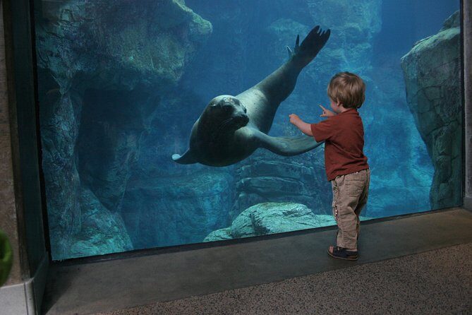 Skip the Ticketing Line: Aquarium of the Pacific General Admission Ticket - The Sum Up